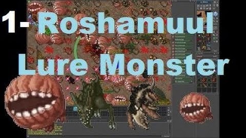 Tibia-Test-Server-Roshamuul 10.07.2017