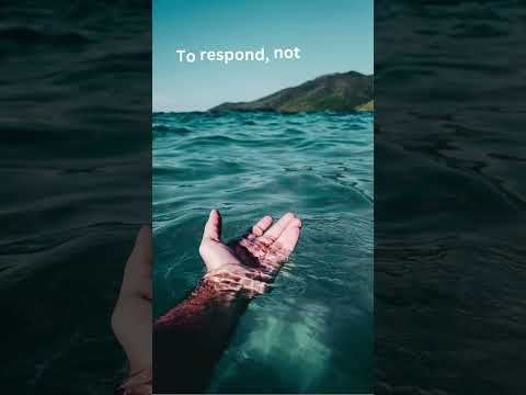 Even the Ocean Listens #relax #сваты6 #calmshorts #nature #motivation #reddit #lifeisbutadream