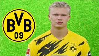 Fm21 Erling Haaland Player Profile Borussia Dortmund Full Time Fm Youtube