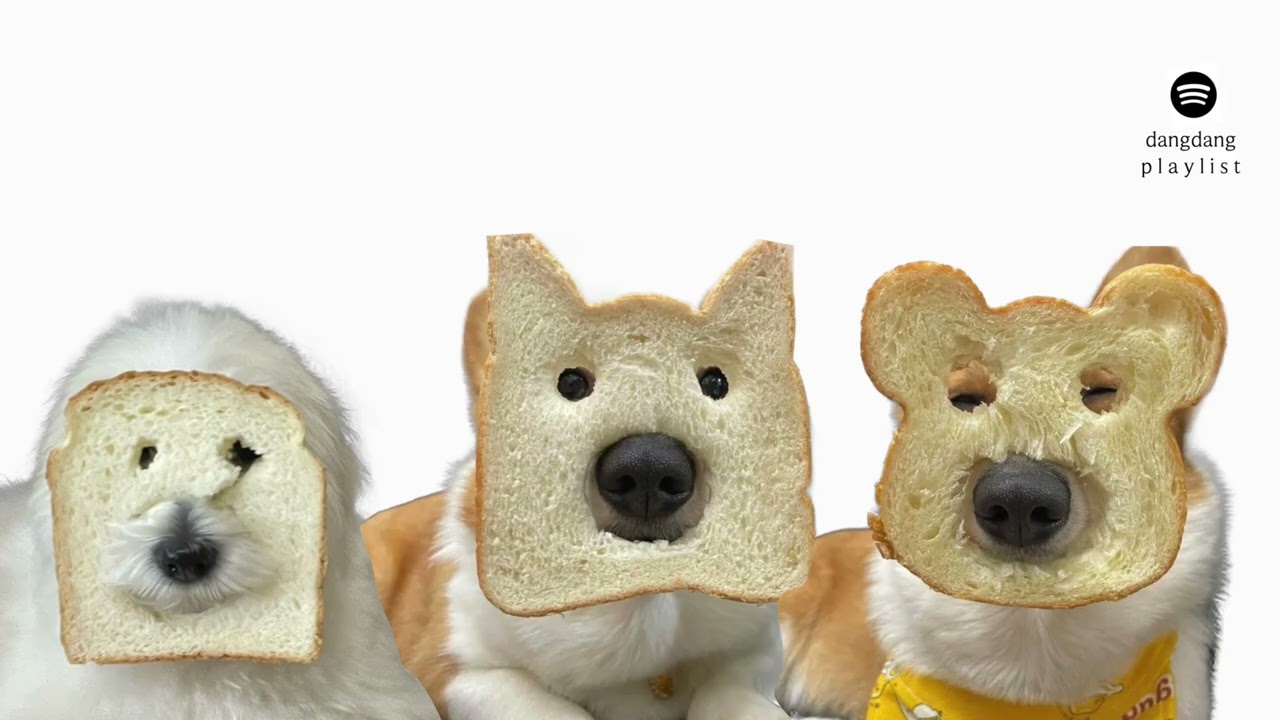 𝐏𝐥𝐚𝐲𝐥𝐢𝐬𝐭 마음이 복잡할 땐, 그냥 식빵이 되자