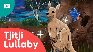 Video thumbnail of "Singing Baby Animals To Sleep | Tjitji Lullaby | ABC Kids"