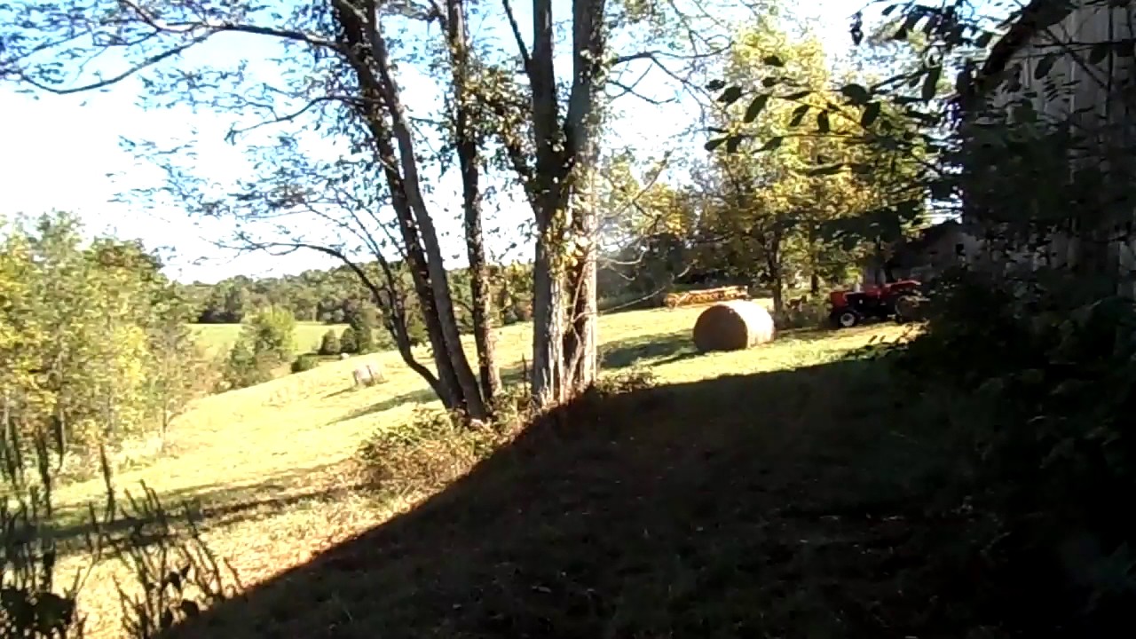 92.16 acres hunting land in Central Kentucky for sale YouTube