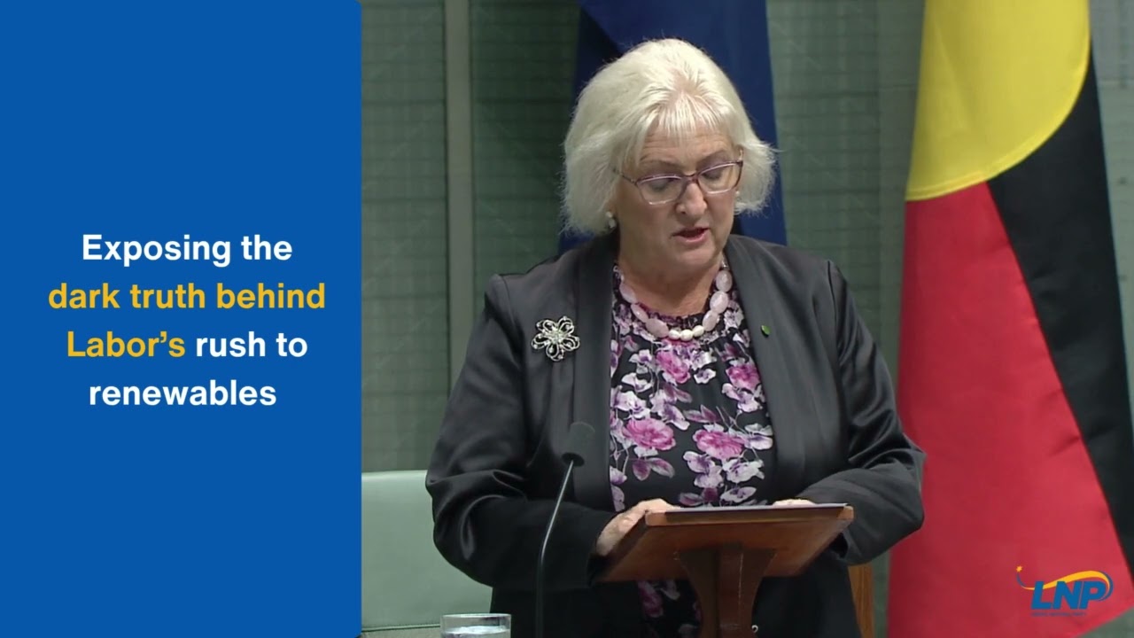 Michelle Landry MP exposes dark truth behind Labor's Reckless Renewables
