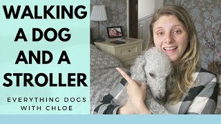 HOW TO WALK DOG WITH STROLLER - 5 TIPS AND TRICKS FOR YOU HOW TO WALK DOG WITH STROLLER - 5 TIPS AND TRICKS FOR YOU