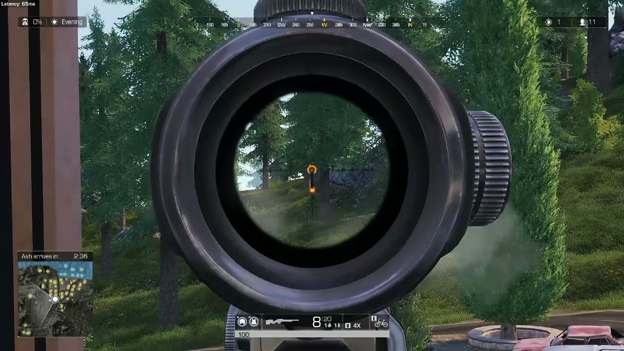 Roe montage by Kekuhito