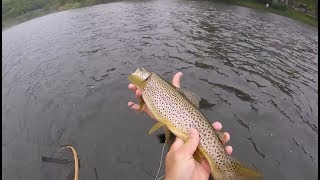 Flyfishing the West Branch of the Delaware, 'SERIOUSLY BIG FISH!!', May 2019