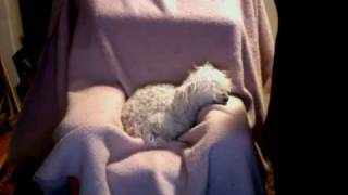 P2 The Cold Case Blues--Caylee Anthony Will Have Her Day In Court Nancy Grace