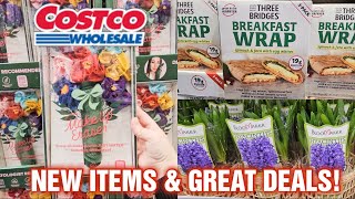 COSTCO NEW ITEMS & GREAT DEALS for APRIL 2024! 🛒 VICTORVILLE, CA LOCATION!