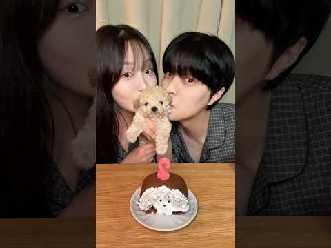 예니뽀기 뉴 패밀리🐶 #강아지 #푸들 #추천 #먹방