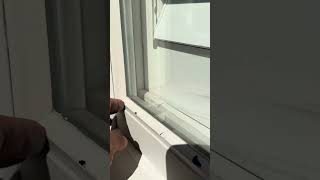 Dann, Shari 5 Windows