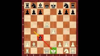 Chess for Beginners. Chess Openings #20. Danish Gambit. Eugene Grinis. Chess