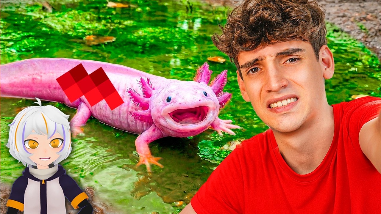 Rescaté Ajolote y le Construí Minecraft | ChuyMine REACCIONA a Bruno&Joel RANDOM