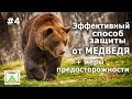 Эфективный способ защиты от медведя. #4 + меры предосторожности