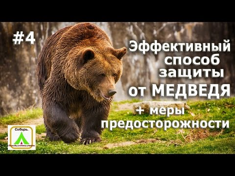 Эфективный Способ Защиты От Медведя. 4 Меры Предосторожности