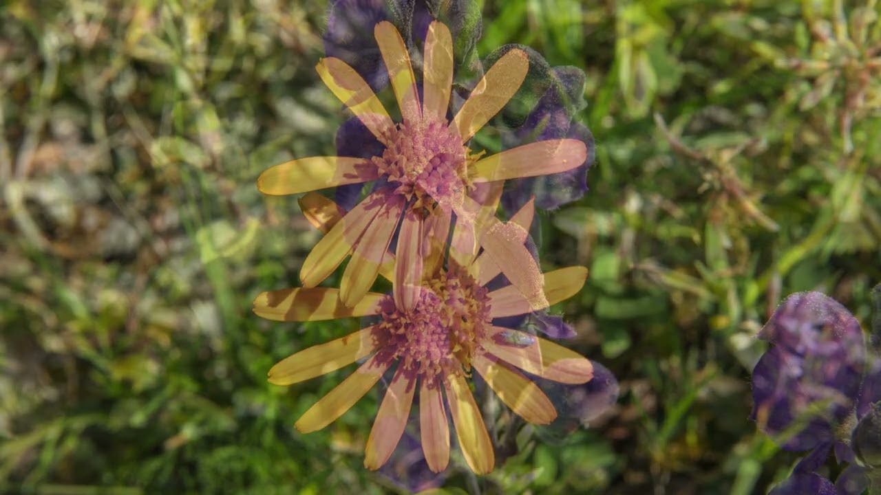 Valli Rabbi,Martello,Senales