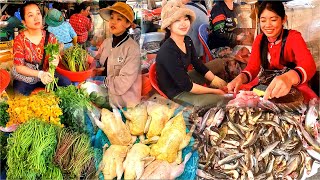 ตลาดอาหารเช้ากัมพูชา. กิจกรรมประจำวันของตลาด Chbar Ampov l ตลาดปลากัมพูชา