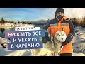 Люди в Карелии. Прибыльный бизнес на хобби. Дрессировка хаски