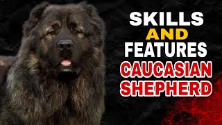 Caucasian Shepherd as a Guardian Dog: Guardian Skills and Features