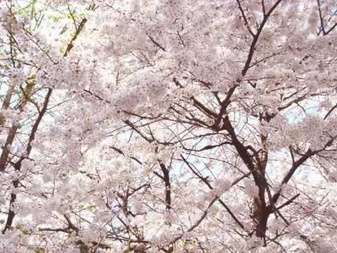 권은경 🍒 눈동자