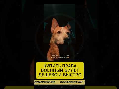 #shorts #юмор #вождение #пдд #мем #гибдд #авто #автомобили