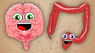 How Your Brain Controls The Body! | KLT Anatomy screenshot 3