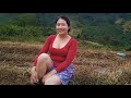 Catch fish in the fields to cook จับปลาในทุ่งเพีอทำอาหาร