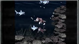 ~Aquatic Ambiance~ Slowed Reverb [Donkey Kong Country]
