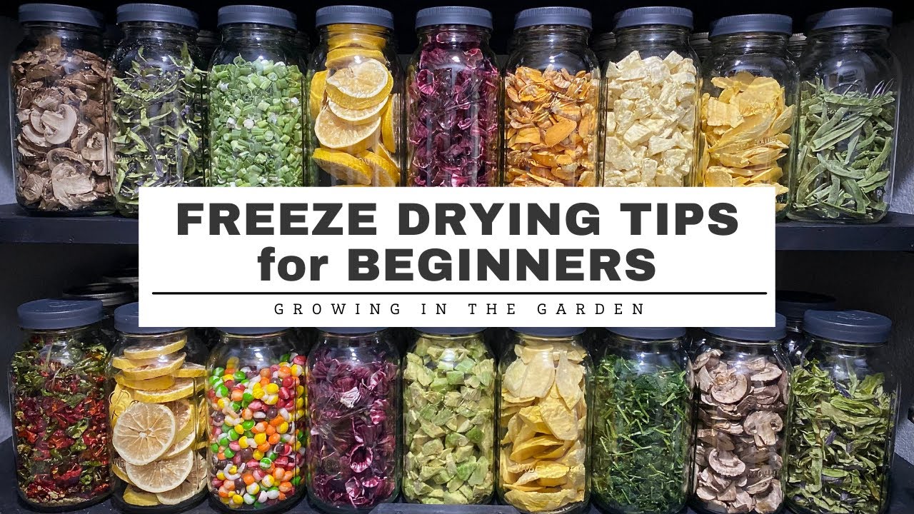 TOP 10 Must-Have  Finds For Your Freeze Dryer! 