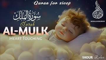 Surah Al Mulk سورة الملك | This WonderfulVoice Will Melt Your Heart | Ibadullah Bilgrami #almulk