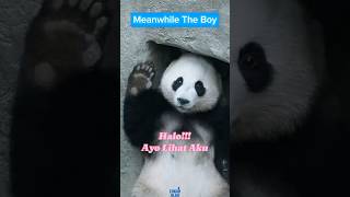 Download Lagu Meanwhile The Boy #meme #memes #memeviral #memesvideo MP3 Download Lagu Meanwhile The Boy #meme #memes #memeviral #memesvideo MP3