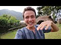 Beginning of video