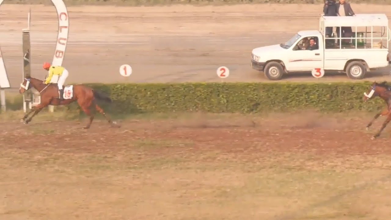 6th Race 1000 Meter Winner Princess Barclona | Ridden By Jockey Safdar Ali Trained By M. Afzal |