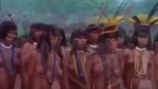 People's Lifestyles in The Amazon  | ttr | you tube short | TOK TOK FIRE
