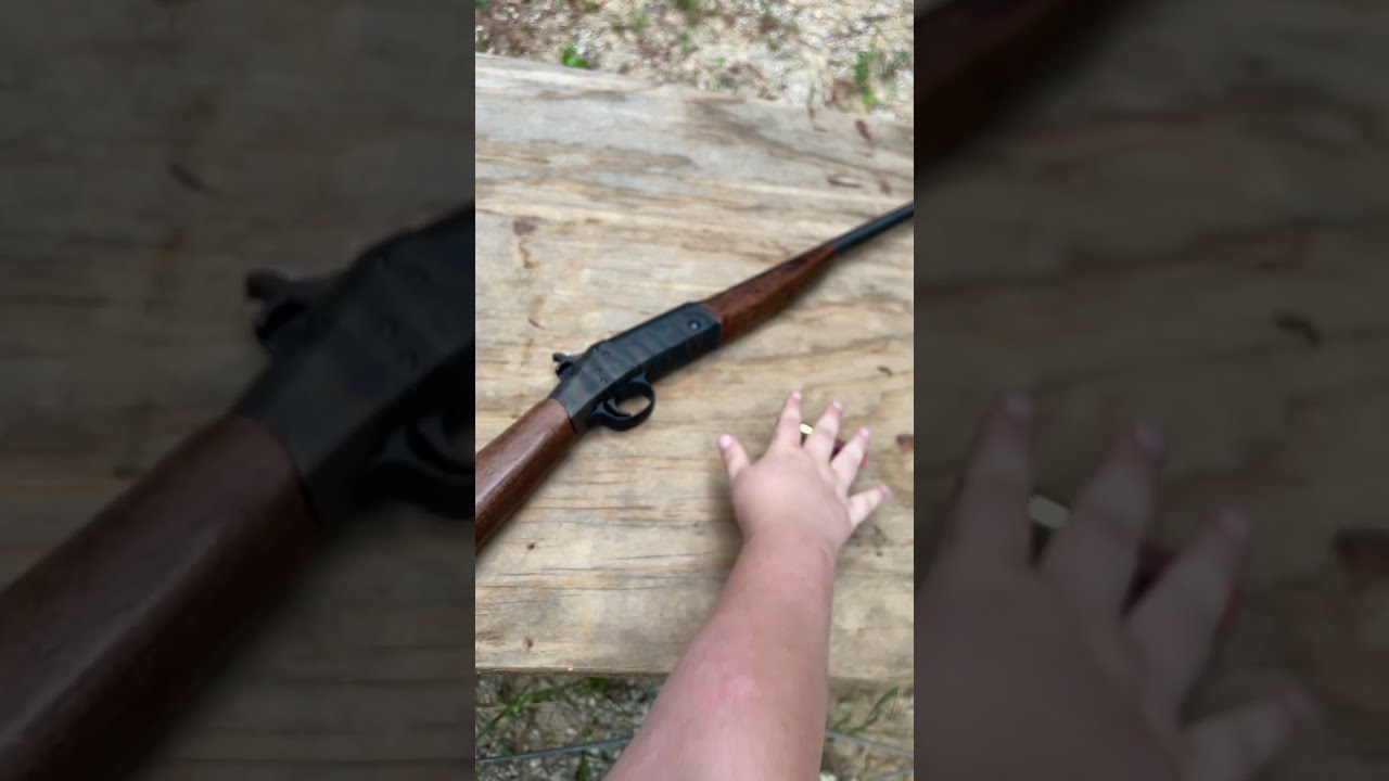 New England Firearms 410 Shotgun