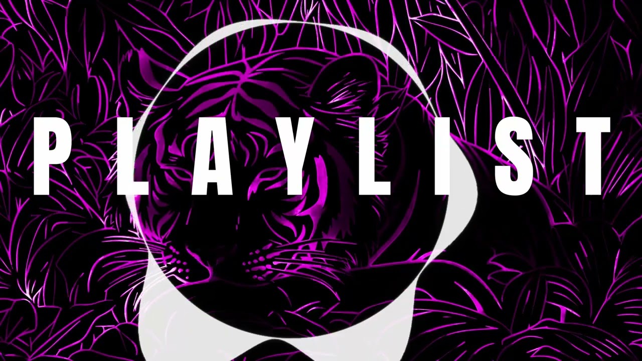 Free BGM ⎮ Just Chatting 호랑이의 기운이 흐르는 동양풍 감성 BGM (저작권X)