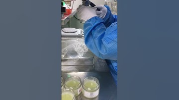 How Skincare Is Made | The Production Process of Xiran Skincare