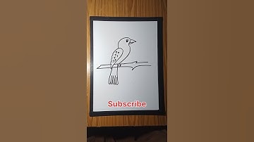 How to draw bird from number 2 #shorts #birds #drawing #art
