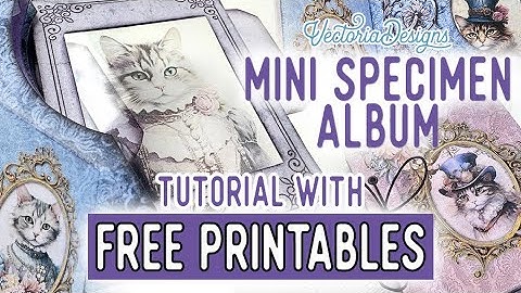 Mini Specimen Album Tutorial + All the Printables for Free | Lady Cats version