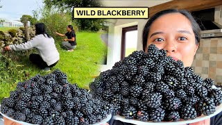 FILIPINA BRITISH LIFE IN UK: LIBRENG BLACKBERRY SA TABI NG DAAN! WILD BLACKBERRIES