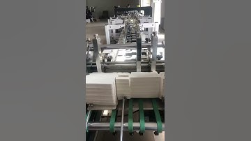 Rolam AS-1100 Folder Gluer for Lock Bottom Box Making