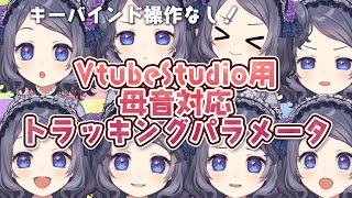 【Live2D/VtubeStudio】母音対応の口の作り方　パーツ分け〜モデリング(グルー使用)