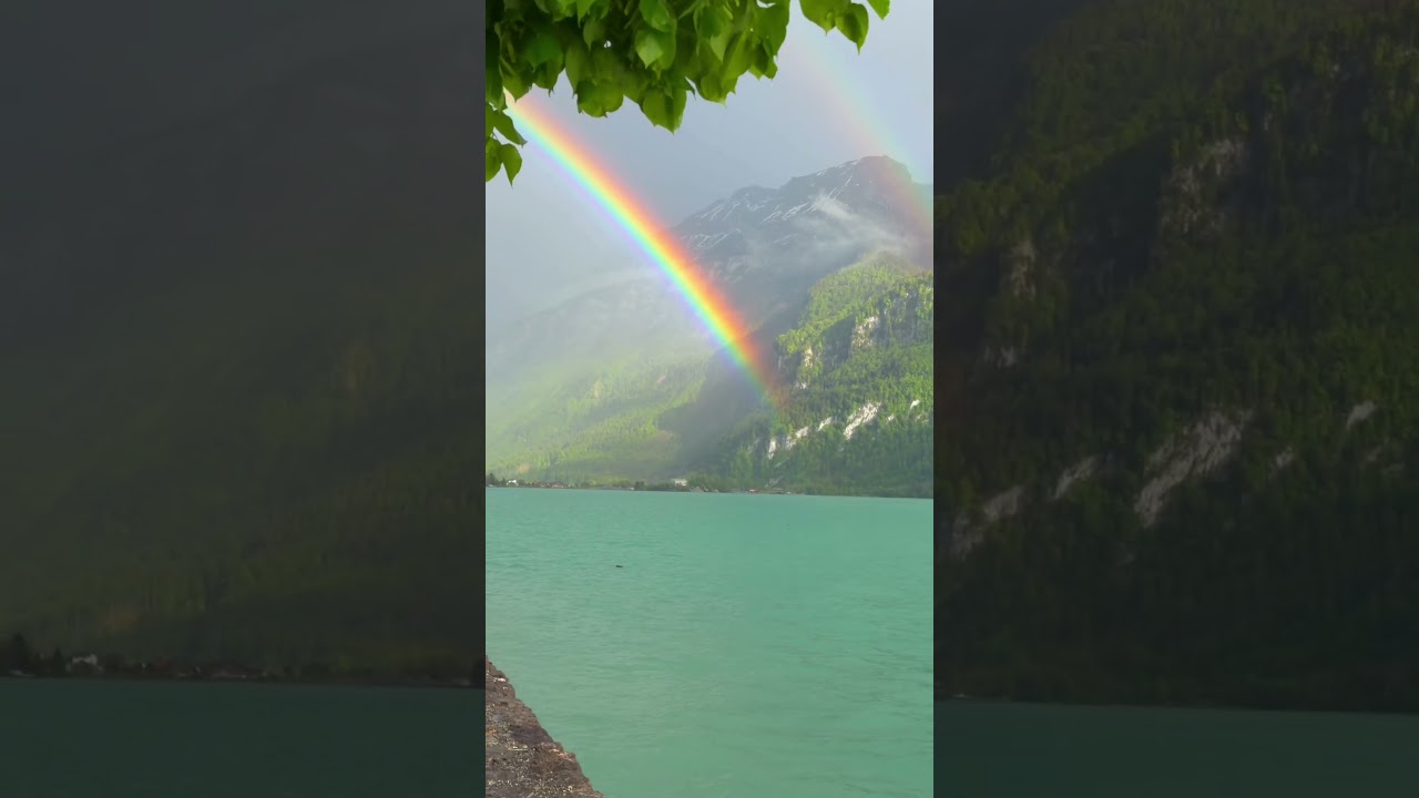 Somewhere over the rainbow 🌈 @brienzamseeswiss #switzerland #youtubeshorts  #nature #rainbows