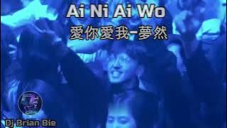 Ai Ni Ai Wo 愛你愛我 夢然 Remix By Dj Brian Bie Tiktok Douyin Hot Song