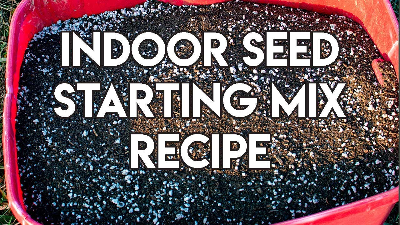 DIY Seed Starting Recipe | Great for Containers and Soil Blocks