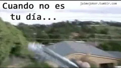 No es tu dia