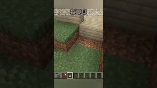 jogando Minecraft fazendo construções de casa