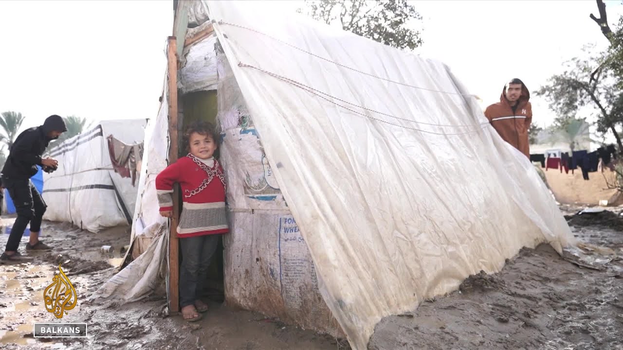 يموت الناس في غزة بسبب انخفاض درجة حرارة الجسم، والظروف غير مناسبة حتى للحيوانات.