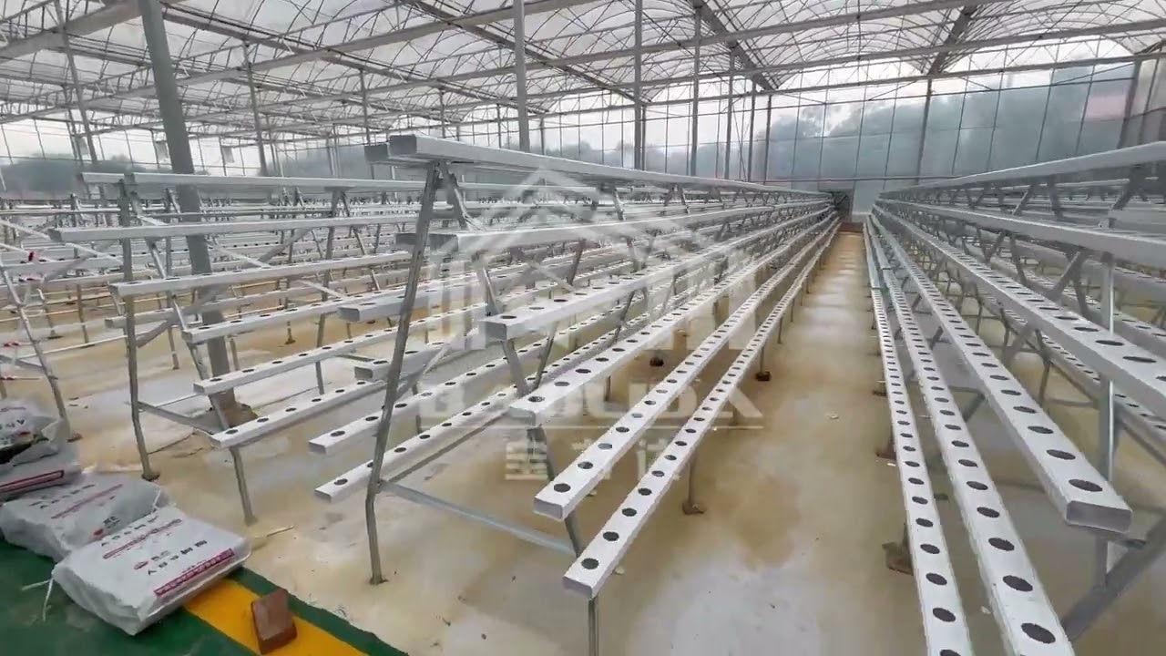 A Frame Nft Hydroponic System