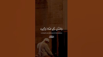 اللهم اجعل القران الكريم ربيع قلوبنا 🌺🍀 #quran #قران_كريم #تلاوه #المصحف #اكسبلور #تلاوة_هادئة