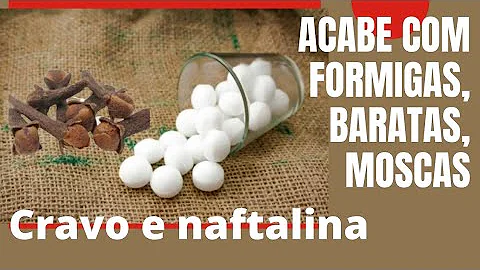 Como fazer inseticida caseira com naftalina?